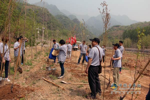 投身于植树造林活动中