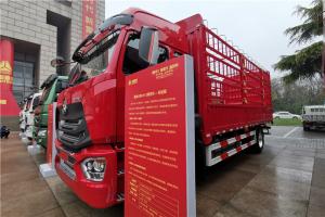 中国重汽 豪瀚 N5W 标运版 220马力 4X2 国六载货车(ZZ5185CCYK5113F1)