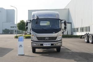 现代商用车 泓图500 170马力 3.835米 国五 排半仓栅轻卡(CHM5041CCYQDA33V)